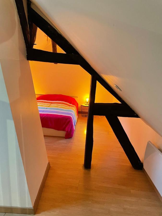 Appartement Complet Hyper Centre Auxerre Bagian luar foto