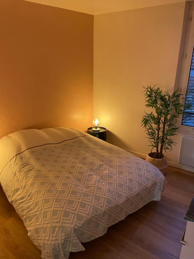 Appartement Complet Hyper Centre Auxerre Bagian luar foto